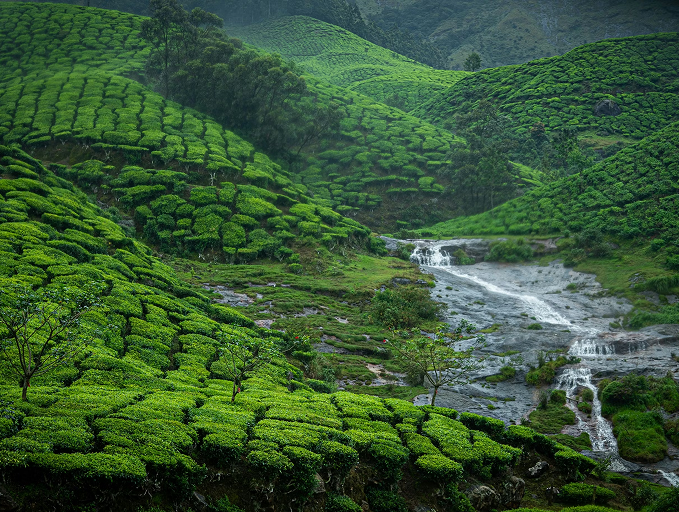 Munnar
